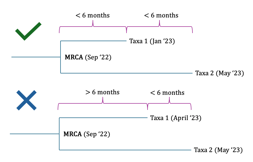 How Salje et al. define transmission chains using time-calibrated phylogenetic trees: two samples are part of the same transmission chain if their MRCA was within six months of the case with the earlier onset, and they are part of the same 'season' (i.e. they are separated by at most six months)