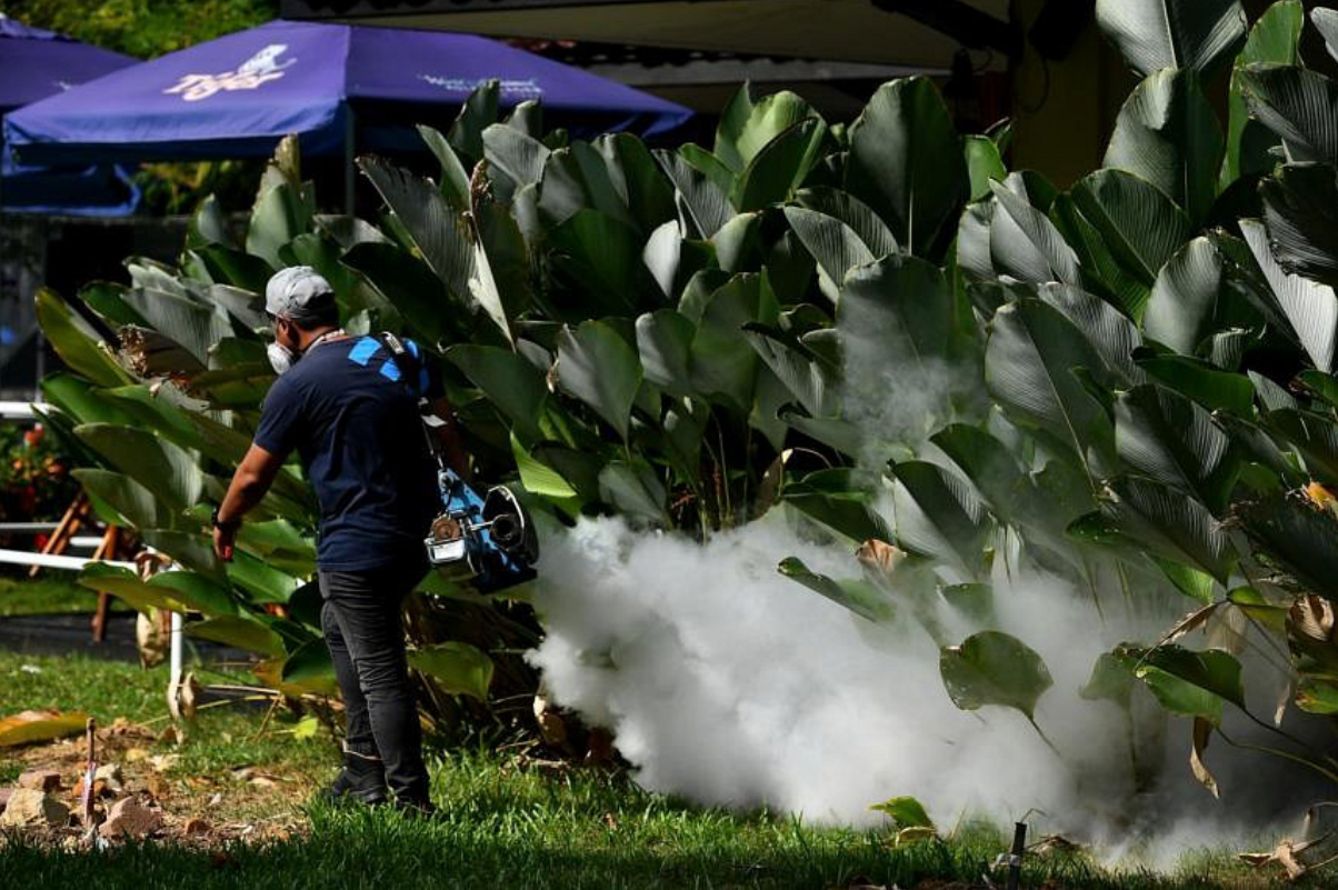 During outbreaks, fogging and misting are carried out in high-risk areas to kill adult mosquitoes. Larvicides are used in potential breeding grounds.